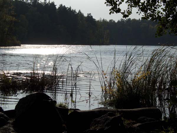 schweden008